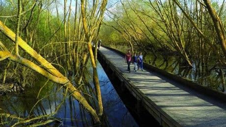 Un territorio para disfrutar a través del agua