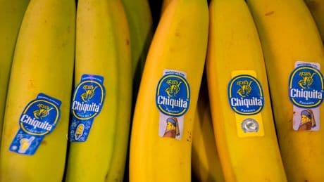 Lebensmittel: Marktbeobachter: Banane wird nicht zur Mangelware