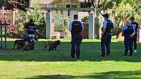 Horror moment 'killer' dogs attack as residents hit out over string of maulings