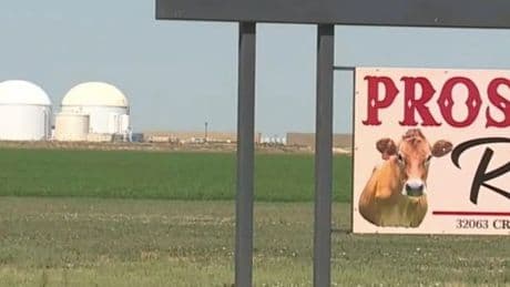 Police find six dead in 'confined space' after mysterious dairy explosion