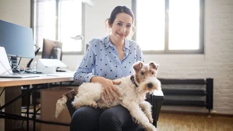 Lori-Urteil bewegt Deutschland - Hund im Büro? So sichern sich Halter rechtlich ab