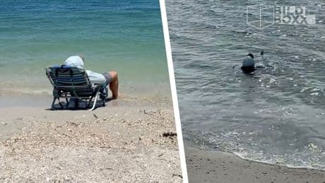 Einmal richtig ausschlafen! - Frau vergisst Mann drei Stunden im Meer