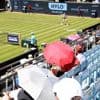 „Wenn jemand deinen Namen ruft, ist das großartig“: Die einzigartige Symbiose zwischen Spielerinnen und Fans beim Tennis