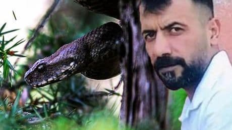 Diyarbakır’da yılan dehşeti! Hayvanları otlatan çoban can verdi