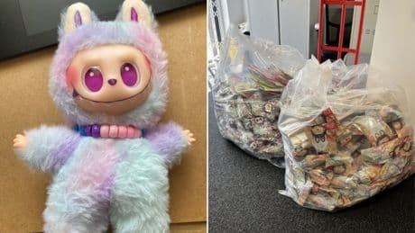 Warning after more than 100,000 ‘harmful’ fake Labubus seized by UK Border Force