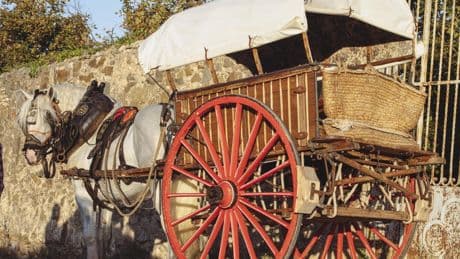Poboleda y el Penedès celebran la vendimia