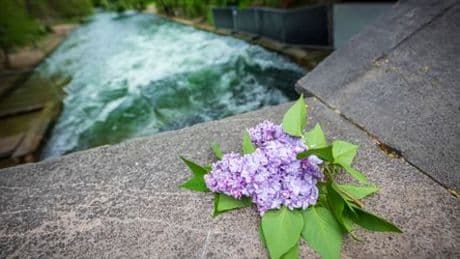 München: Eisbach-Surferin stirbt nach Unfall – gibt es bald strengere Sicherheitsvorkehrungen?