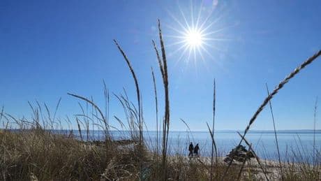Waldbrandgefahr: Viel Sonne erwartet - Waldbrandgefahr steigt