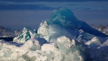 Se desprende un iceberg en la Antártida y consiguen grabar por primera vez un animal 'de cristal'