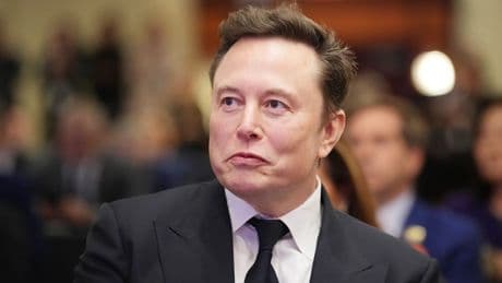 Musk's AI chatbot spitting out "white genocide" claims unprompted about South Africans