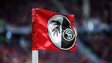 Gefräßiger Schädling: SC Freiburg soll Fadenwürmer gegen Japankäfer einsetzen