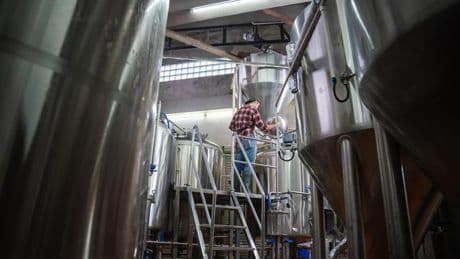 Arbeit in einer Bierbrauerei: "Ich habe mich gegen die akademische Unsicherheit entschieden"