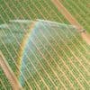 More than 150 farms in England caught using local water illegally