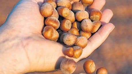 Oyak Ordu’da üretimi üçe katlayacak