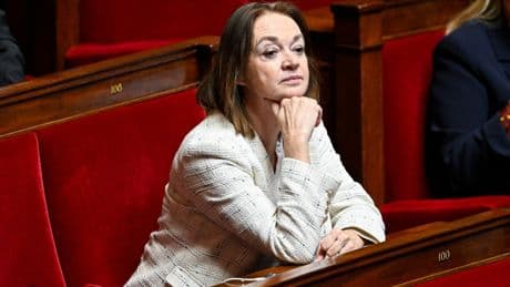 « Supporters babouins », « génocide blanc »… Les messages pétainistes, racistes et homophobes de la députée RN Caroline Parmentier