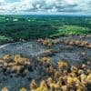 Un homme placé en détention provisoire après plusieurs incendies, dont celui de Brocéliande