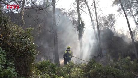 Bosbrand verwoest 1500 hectare, leger ingezet