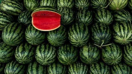 La ciencia de elegir la sandía perfecta: qué hay de cierto y qué hay de mito en los “trucos” para identificarla