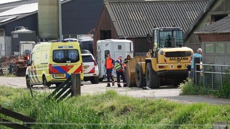 Man overlijdt na aanval door stier op boerderij in Stompetoren