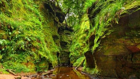 Tragic discovery of body at rural Stirling beauty spot amid safety fears