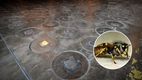 Estudian una antigua fábrica de bombas nucleares y se encuentran un nido de avispas radiactivas
