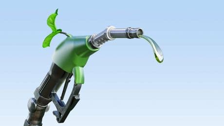 Greentech-Serie : Hoffnungsträger Biokraftstoff: Mit diesen Innovationen soll der Durchbruch gelingen