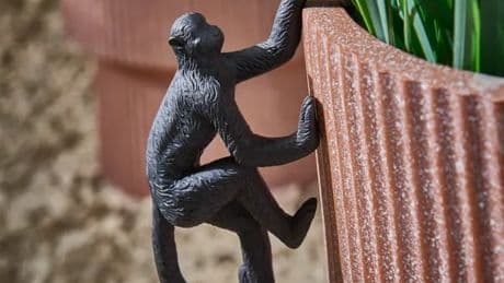 Dunelm shoppers go wild for 75p ‘cute’ outdoor decoration that will spruce up your garden