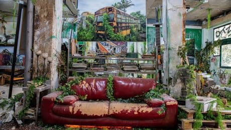 PhotoEspaña convierte un local olvidado de Madrid en una selva de arte