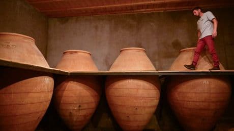"C'est hyper original au niveau aromatique": les vins en amphore se font une place chez les vignerons et sur les tables