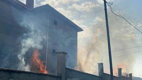 Son Dakika Yangın Haberleri: Hatay'da bin 115 kişi tahliye edildi! Orman yangınlarında son durum ne?