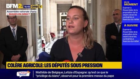 Loi agricole: Mathilde Panot dénonce "un 49.3 déguisé"