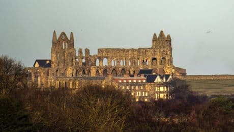 Bodies of man and woman recovered from beneath cliff at Whitby Abbey
