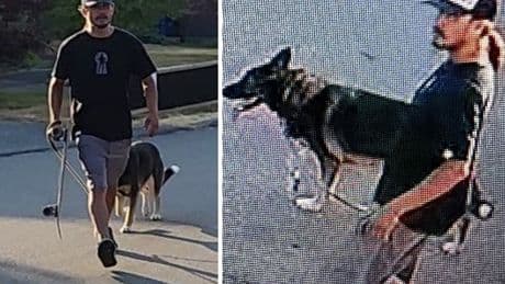 Police seek man seen kicking, punching his dog in Nanaimo