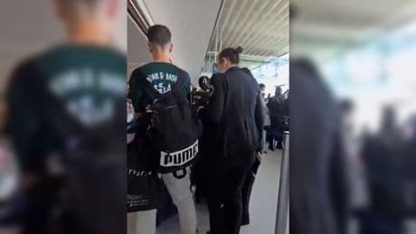«Free Palestine» : une salariée d’un prestataire d’Air France mise en cause après avoir pris des passagers à partie