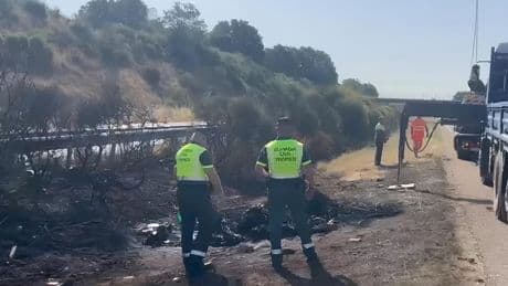 El reventón de una rueda y el exceso de velocidad, los principales indicios del trágico accidente de Diogo Jota