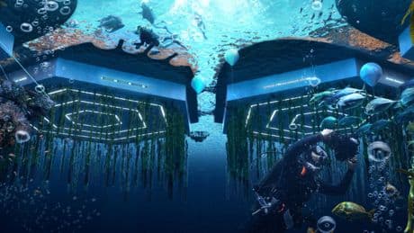 Silicon Valley wanted to build floating libertarian paradises on the ocean. The plan failed — but now seasteading is back