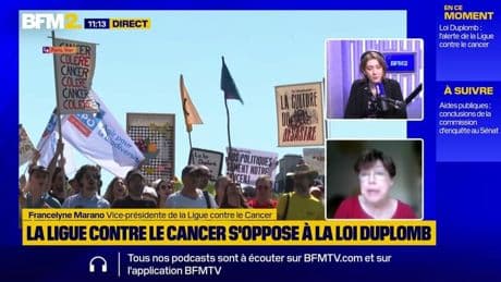 La Ligue contre le cancer s'oppose à la loi Duplomb