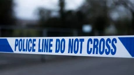 Corhampton crash: Two boys, 16 and 17, killed after car smashes into tree