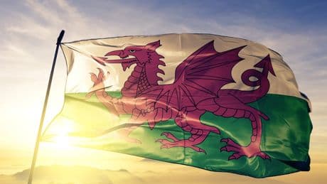 ‘My flabber has never been so gasted’: Shock as Airbnb host rejects guests because they’re Welsh