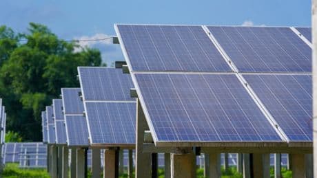 Strom für 3,7 Cent pro Kilowattstunde: So billig sind Solar und Wind wirklich