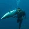 Pourquoi les requins se figent-ils dans certaines situations, comme s’ils étaient en transe ?