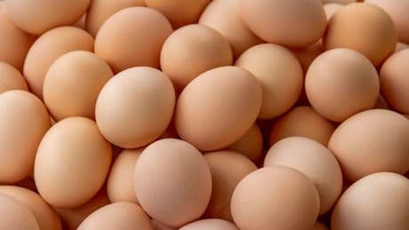 Egg Recall As Salmonella Outbreak Leaves 79 Sick, 21 Hospitalized