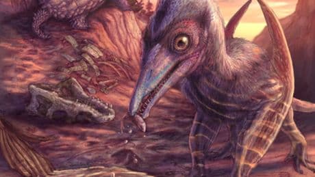 New species of flying reptile that lived among dinosaurs 200 million years ago discovered