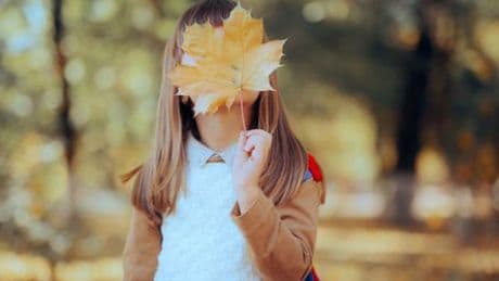 Schule: Jeder Herbst ist ein Anfang – wie wir unseren Familienalltag neu sortieren