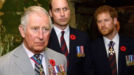 Charles and Harry talks in full - Sussex 'motive', William's role and leak mystery