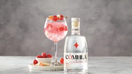 Aldi's Scottish Gin named as best in the world as prestigious awards