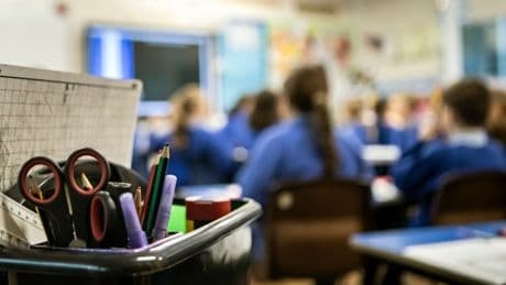 Nando’s-style grading won’t keep pupils safe or boost good teaching, union says