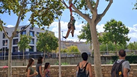 En Tàrrega, hay una payasa en un árbol