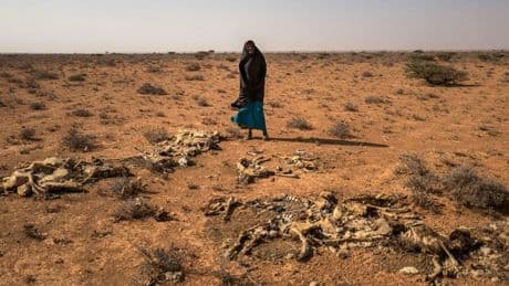 Klimapolitik: Zersplitterte Zuständigkeiten, fehlende Antworten: Merz-Kabinett riskiert Rückschritt