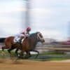 Journalism comes from behind to win the Preakness